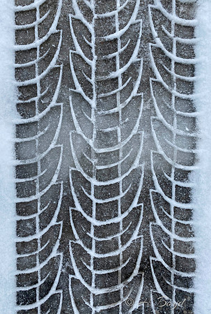 Pattern in snow