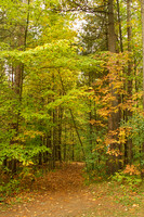 Durham Regional Forest Main Tract Oct 6/2020
