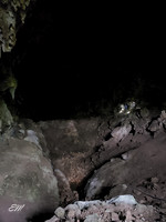 Cave at Chiquibul Forest Reserve