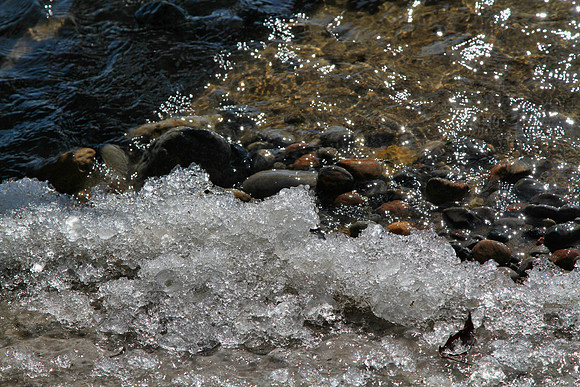 Lynde Shores Mar 5/2021