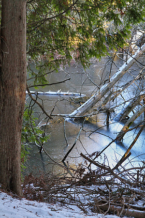 Coyote Trail Jan 20/21