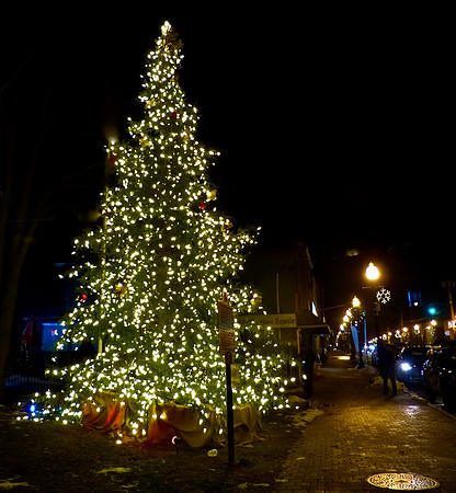 Stouffville Christmas Tree 2020