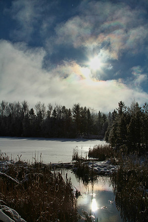 Secord Forest & Wildlife Jan 8/21