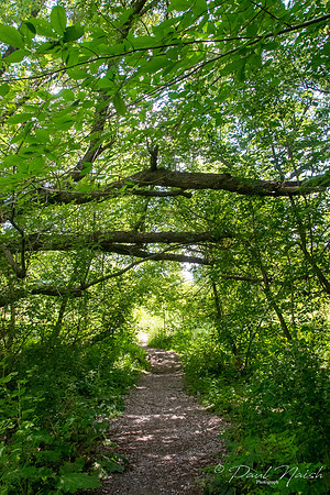 Seton Trail