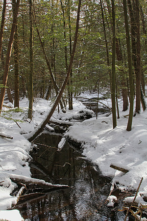 Hollidge Tract (entrance Ninth Line) Feb 10/21