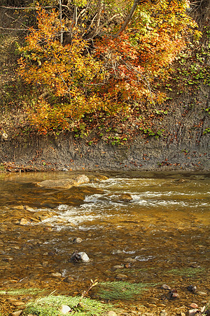 Seaton Hiking Trail Oct 28,2021