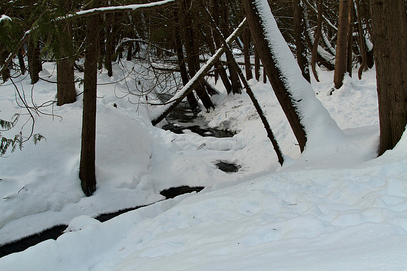 Uxbridge Countryside Trails Jan 25/22