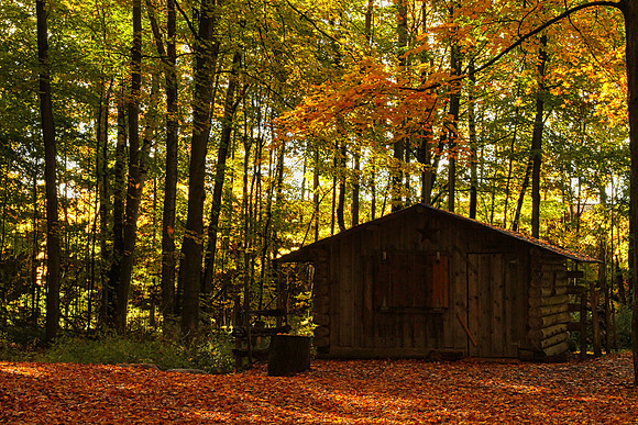 Purple Woods Conservation Area Oct 13/2020