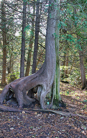 Seaton Hiking Trail Oct 28,2021
