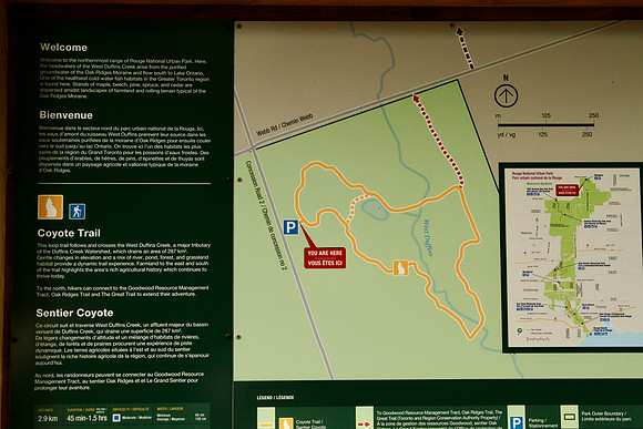 Rouge National Urban Park, Coyote Trail