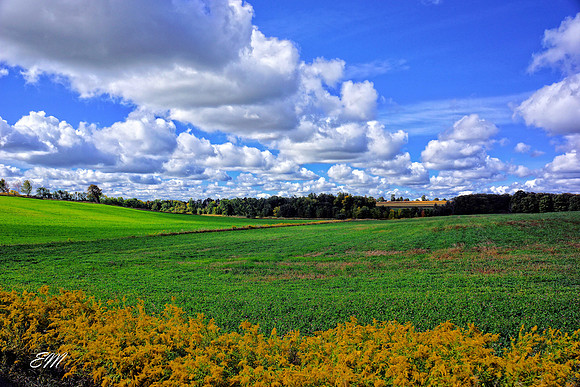 Marsh Hill Rd, S