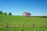 Countryside Scenes