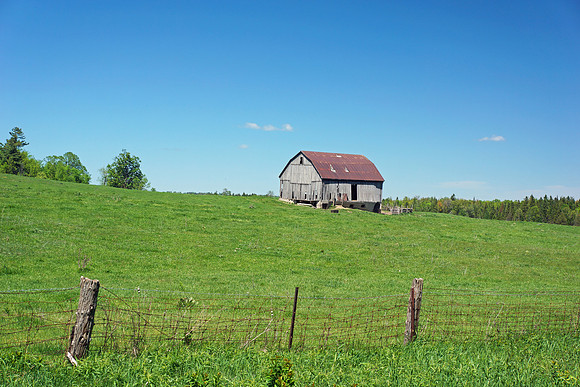 Old Barn, Concession #2,Sunderland ON