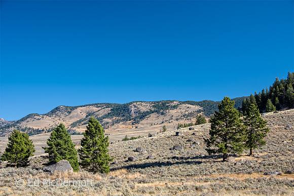 Yellowstone Pk Landscape