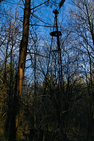 Walker Woods Nov 20/2020