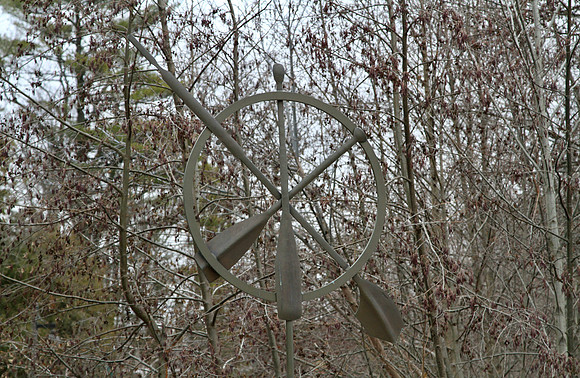 Lake Wilcox Park Jan 10/2023