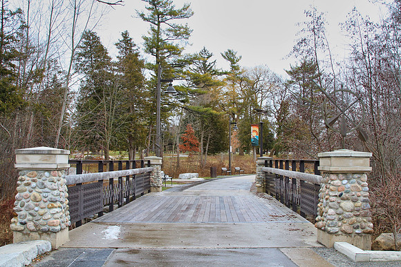 Lake Wilcox Park Jan 10/2023