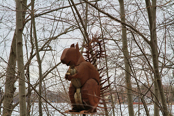 Lake Wilcox Park Jan 10/2023
