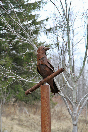 Lake Wilcox Park Jan 10/2023