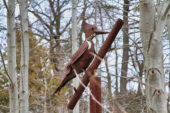 Lake Wilcox Park Jan 10/2023