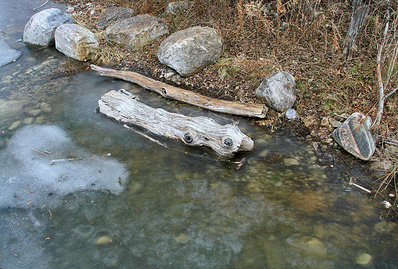 Lake Wilcox Park Jan 10/2023
