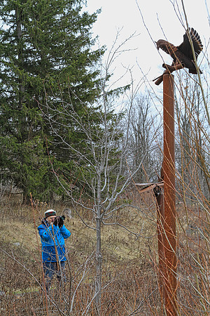 Lake Wilcox Park Jan 10/2023
