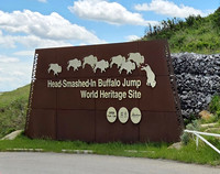 Buffalo Jump Museum