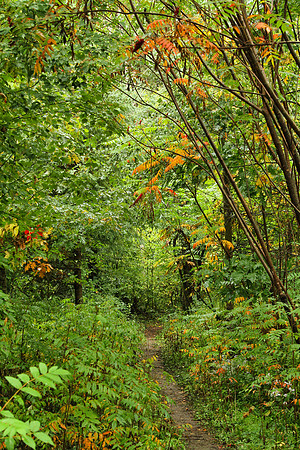Rouge National Urban Park, Coyote Trail
