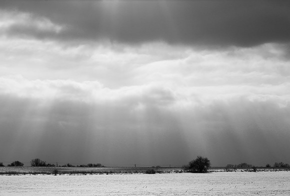 Mary - Sun Streamers