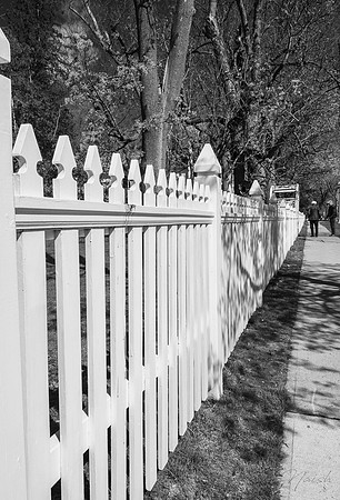 (art) Picket Fence