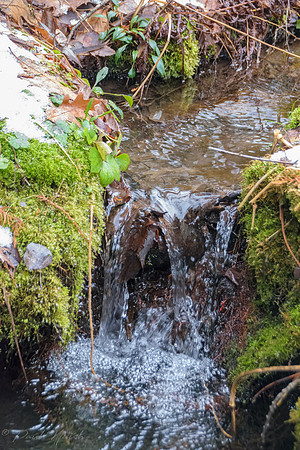 Runoff Creek