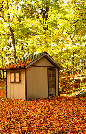 Purple Woods Conservation Area Oct 13/2020