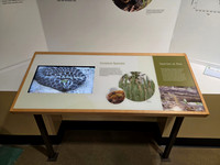 The Discovery Centre Museum, Gravenhurst ON