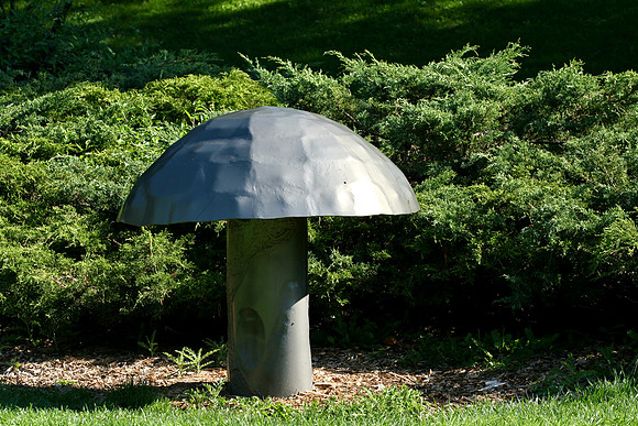 Oshawa Botanical Gardens Aug 2/2021