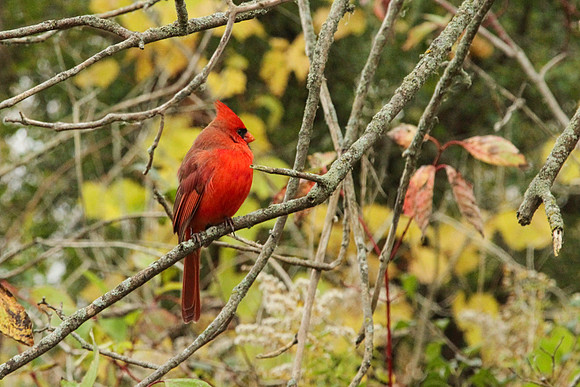 Lynde Shores Oct 27/2020