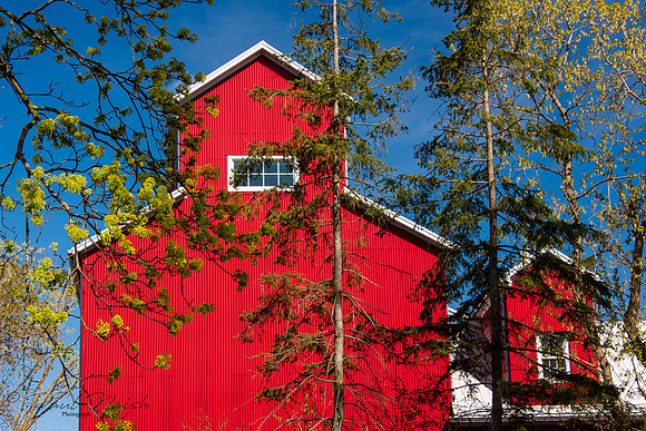 Stiver Brothers Mill
