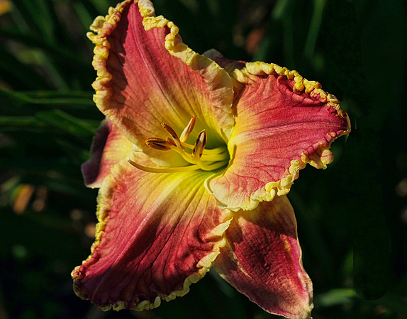 Oshawa Botanical Gardens Aug 2/2021