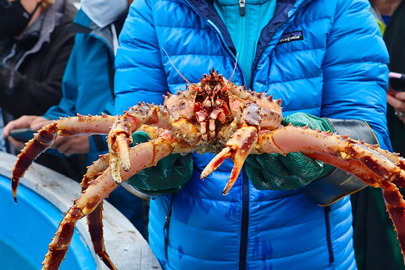Honningsvag Norway June 19/22