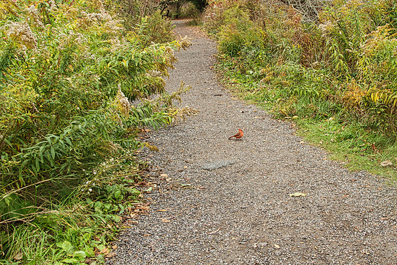 Lynde Shores Oct 27/2020