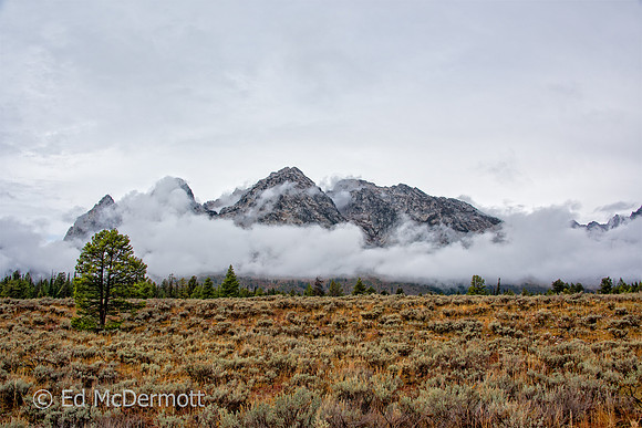 Cloud Mountain