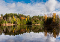 Pond