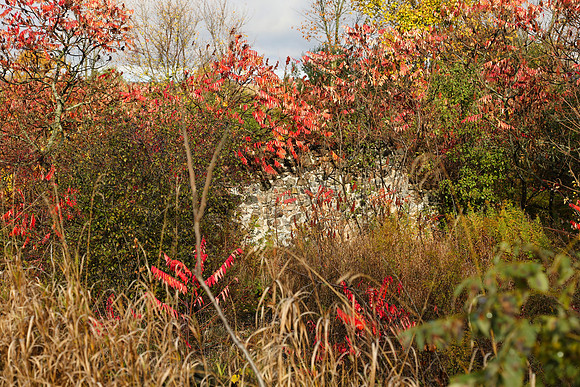 Pefferlaw Creek Farms Oct 20/2020