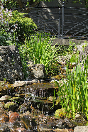 Oshawa Botanical Gardens Aug 2/2021