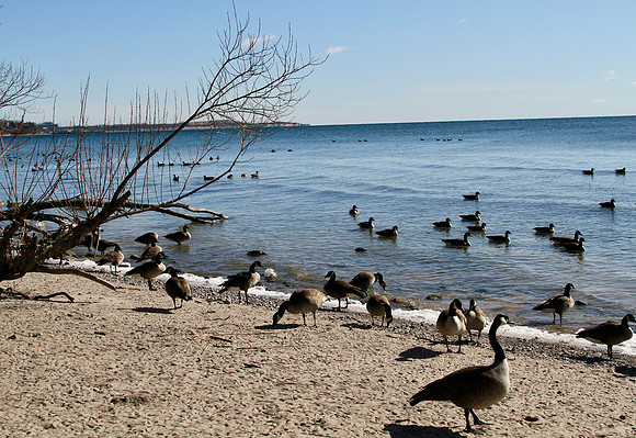 Lynde Shores Mar 5/2021