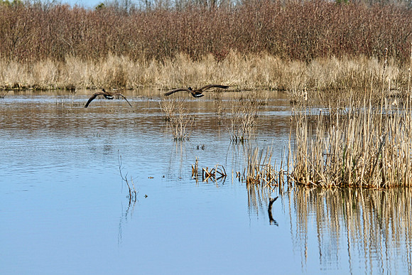 Lynde Shores May 5,2022