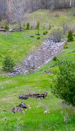 Glen Major Forest