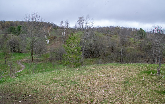 Glen Major Forest