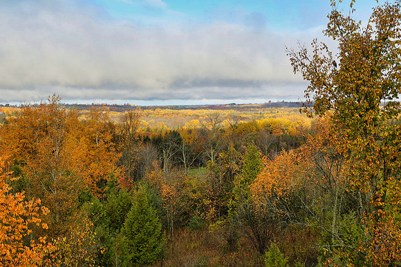 Pefferlaw Creek Farms Oct 20/2020