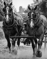 Plowing, early days