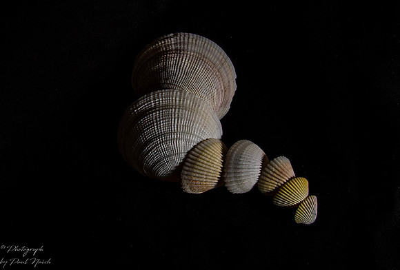Evolving Pattern